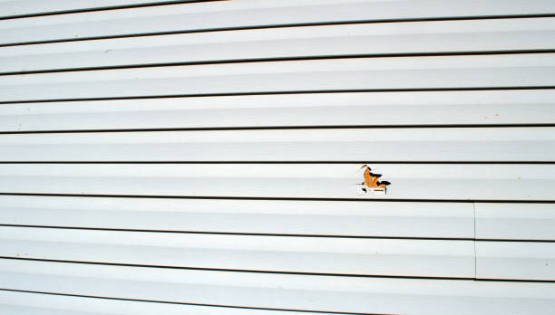 Best Fiber Cement Siding Installation  in North Wildwood, NJ