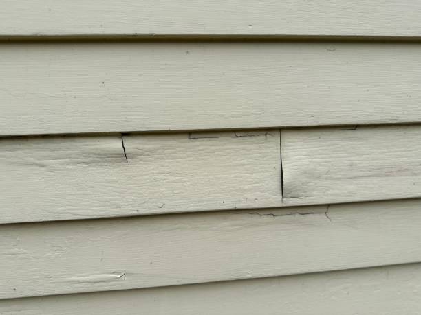 Best Siding Removal and Disposal  in North Wildwood, NJ